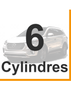 Tous les kits E85 Access 6 Cylindres